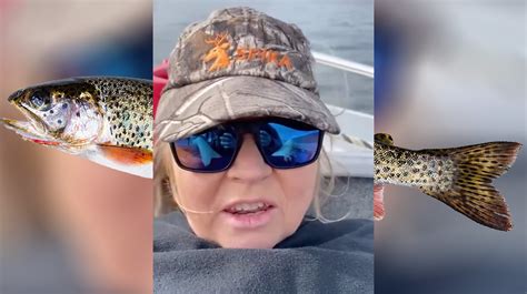 woman trout video|trout fishing lady original video.